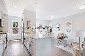 Hummingbird Ln. Boston