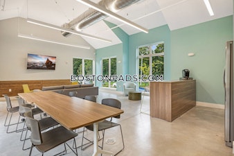 Hummingbird Ln. Boston