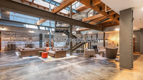 Third St. Cambridge photo 61