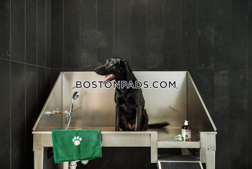Boston - $2,992+ /month