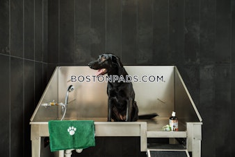 Old Colony Ave. Boston