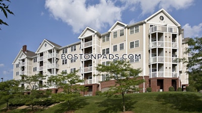 Quincy Apartment for rent 1 Bedroom 1 Bath  West Quincy - $2,300 No Fee