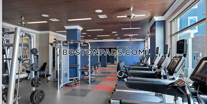 watertown-apartment-for-rent-1-bedroom-1-bath-2695-96558 