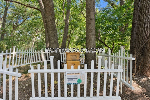 Repton Place Watertown photo 24