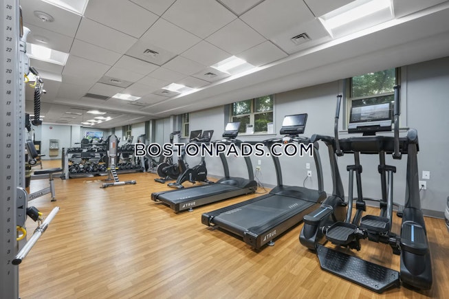 Boston - $3,750+ /mo