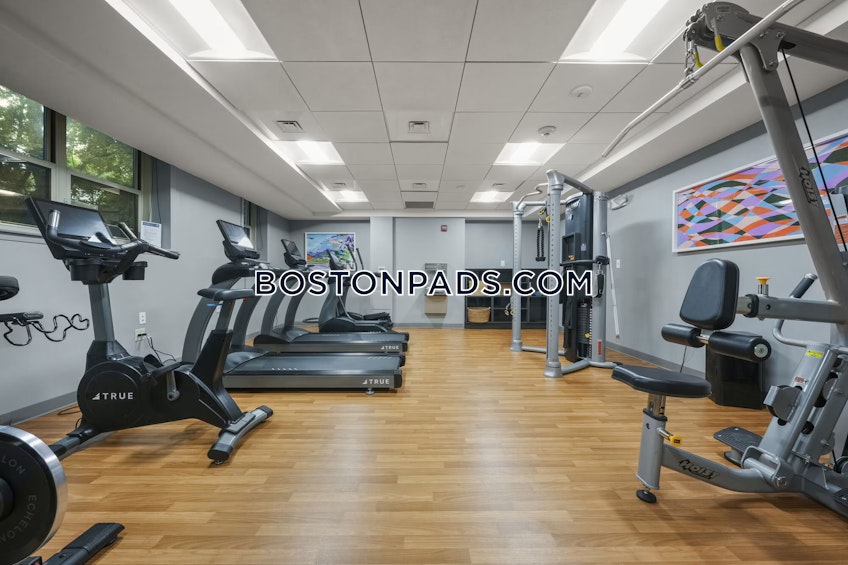 Boston - $3,750+ /month