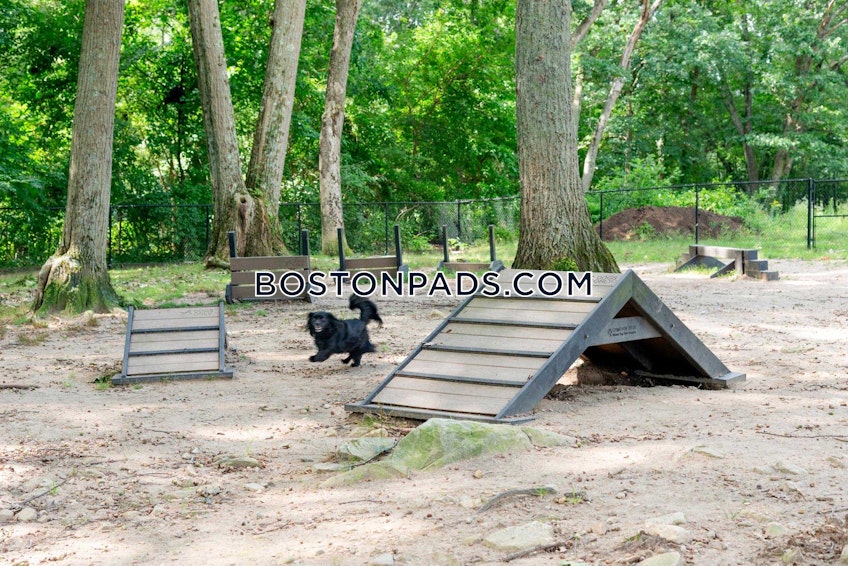 Norwood - $3,202+ /month