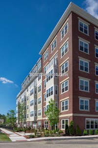 Braintree Apartment for rent 1 Bedroom 1 Bath - $2,425 No Fee