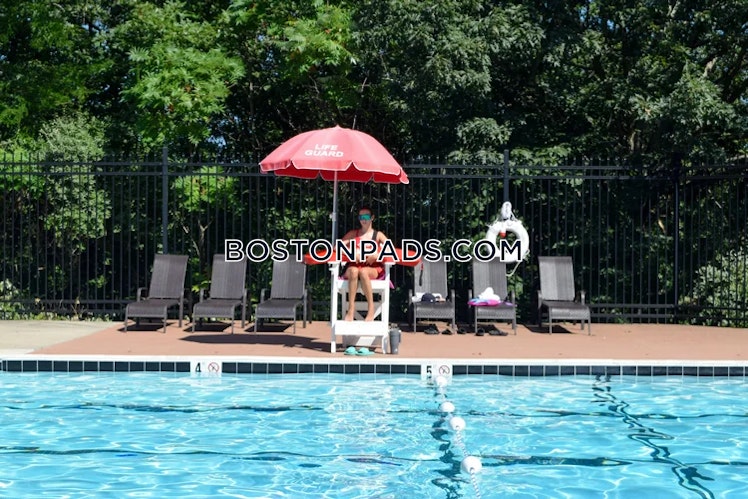 O'Callaghan Way., Lynn