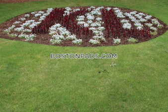 O'Callaghan Way. Lynn