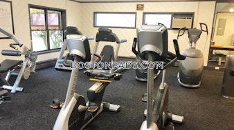 O'Callaghan Way. Lynn