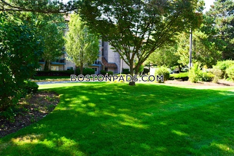 O'Callaghan Way. Lynn photo 34