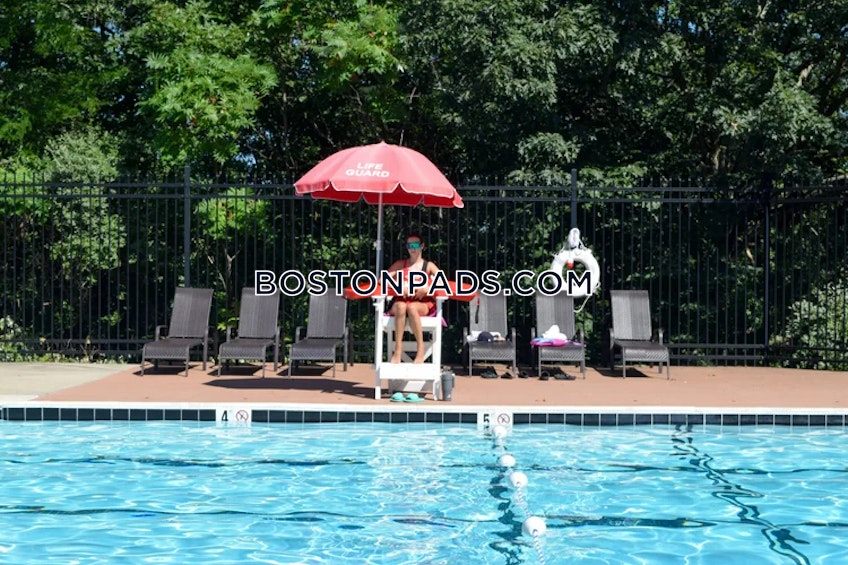 Lynn - $3,075+ /month