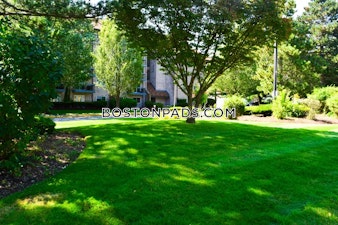 O'Callaghan Way. Lynn