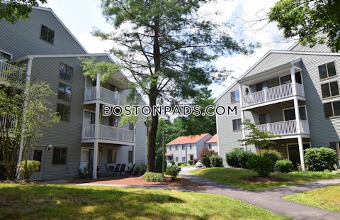 Longmeadow Dr. Holbrook photo 31