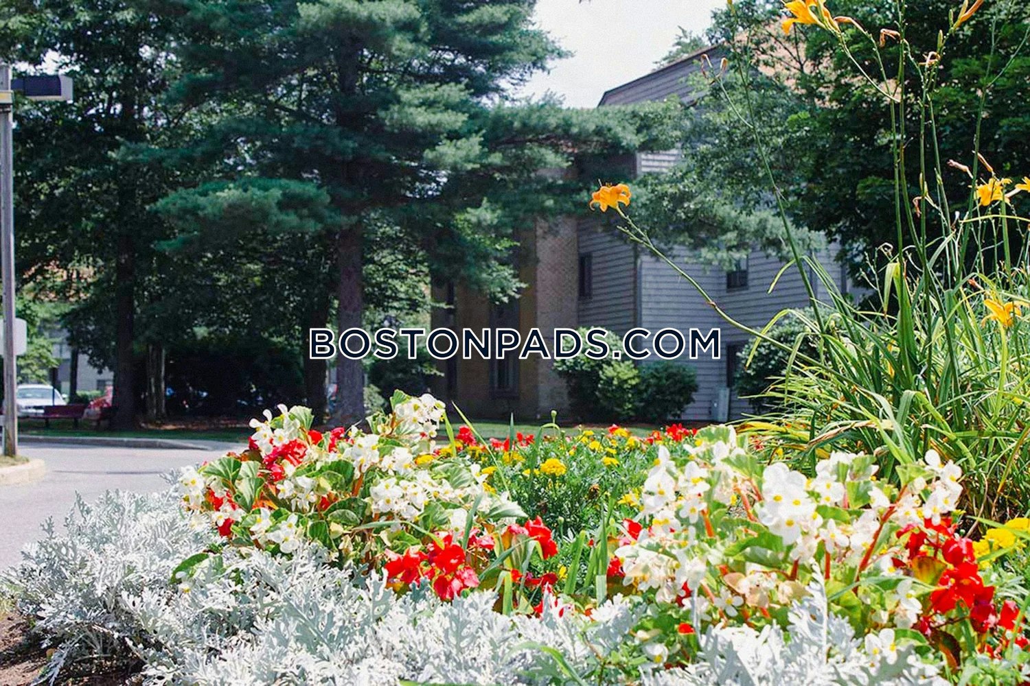 Longmeadow Dr. Holbrook