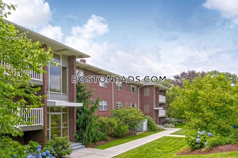 Dolores Ave. Waltham photo 19