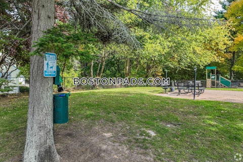 Dolores Ave. Waltham photo 22