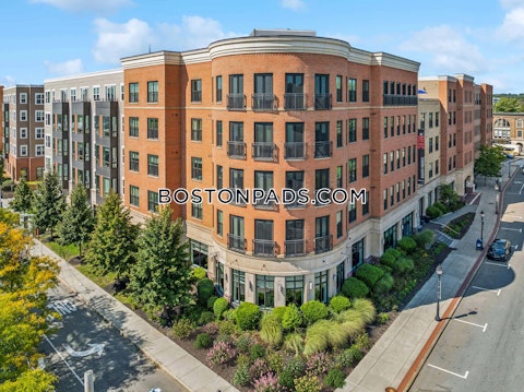 Moody St. Waltham photo 11