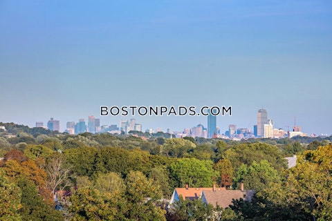 Moody St. Waltham photo 30