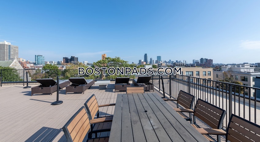 Roxbury Crossing - $3,000+ /month