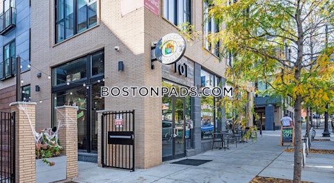 Tremont St. Roxbury Crossing photo 17