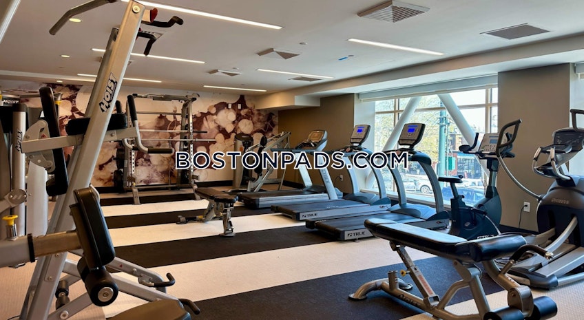 Brookline - $3,532+ /month