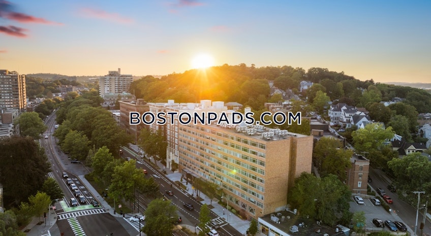 Brookline - $3,532+ /month