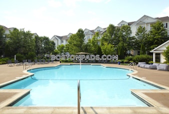 Silver Leaf Way. Marlborough