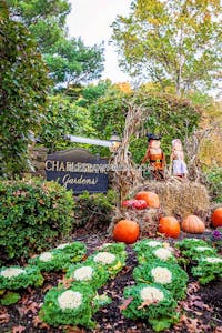 Waltham 1 Bed 1 Bath WALTHAM $1,550 - $2,000 No Fee