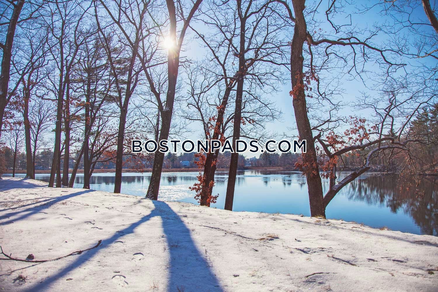 Charles River Rd. Waltham