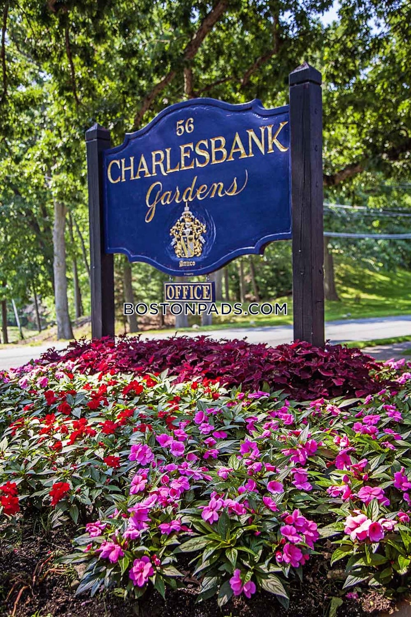 Waltham - $2,000+ /month