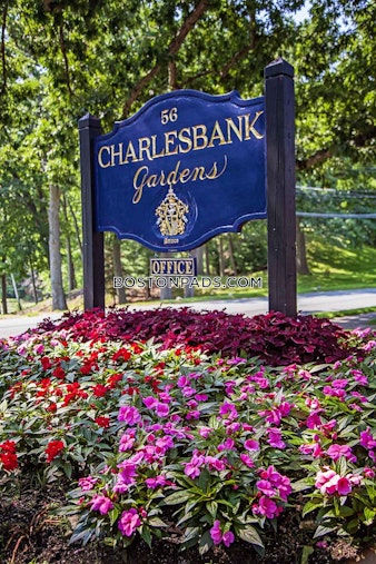 Charles River Rd. Waltham