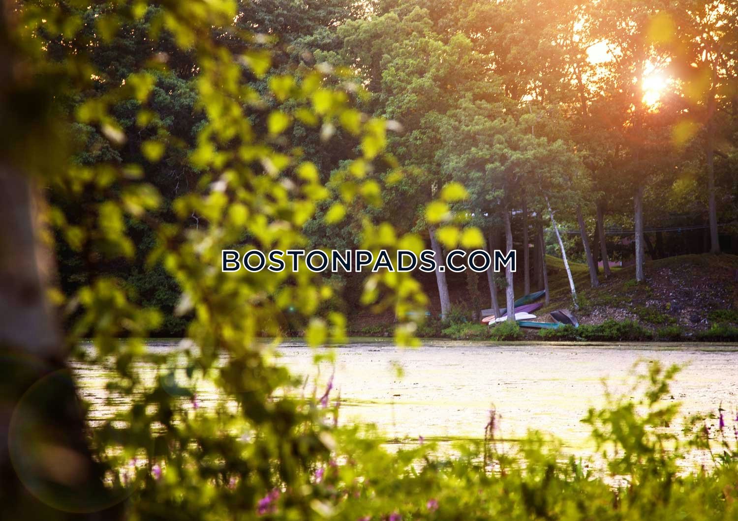 Charles River Rd. Waltham