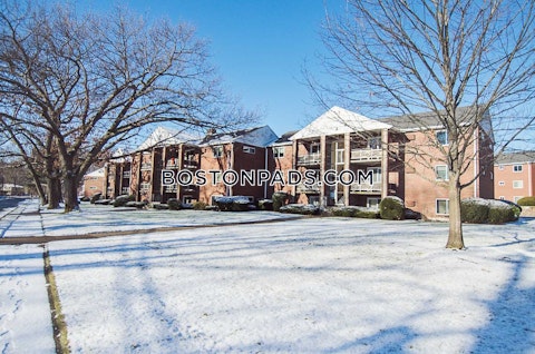 Charles River Rd. Waltham photo 15