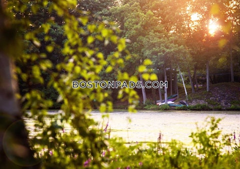 Charles River Rd. Waltham photo 11