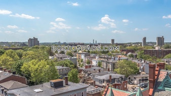 Magazine St. Cambridge