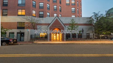 Magazine St. Cambridge photo 20