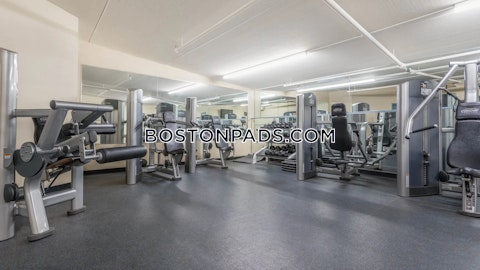 Magazine St. Cambridge photo 7