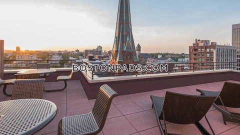 Magazine St. Cambridge photo 11