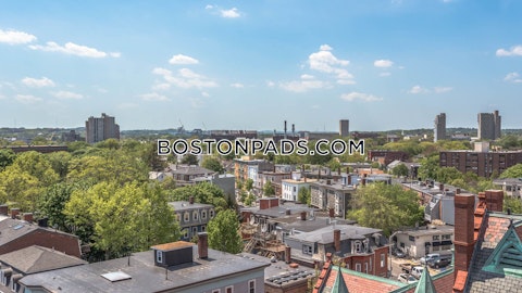 Magazine St. Cambridge photo 9