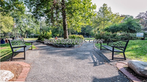 Magazine St. Cambridge photo 4