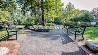 Magazine St. Cambridge