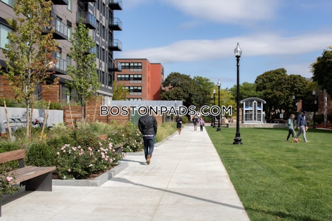 Lewis Sq. Boston photo 7