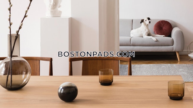 Boston - $6,500+ /mo