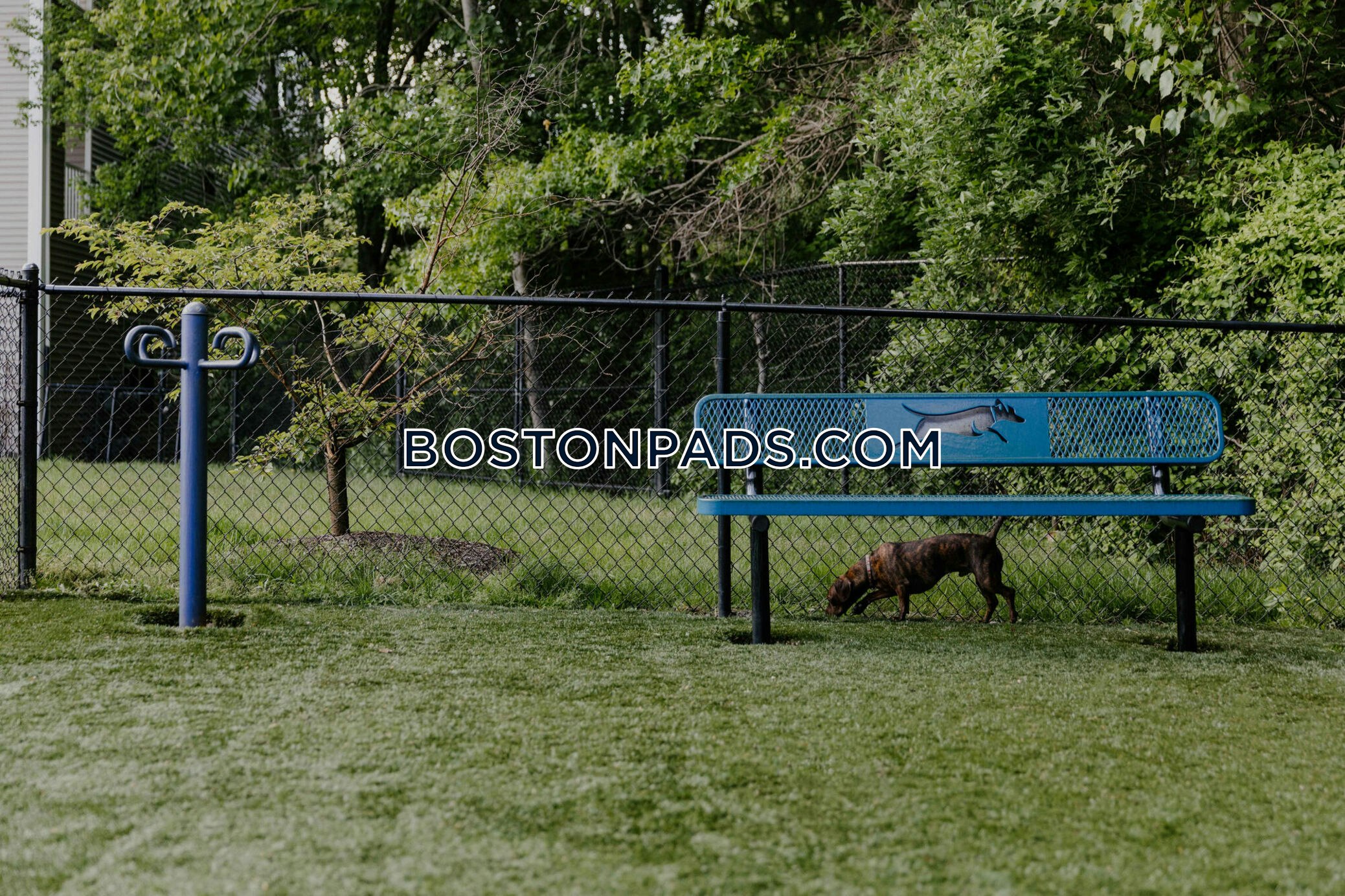 Conners Ave. Mansfield