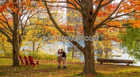 Sidney St. Cambridge photo 14