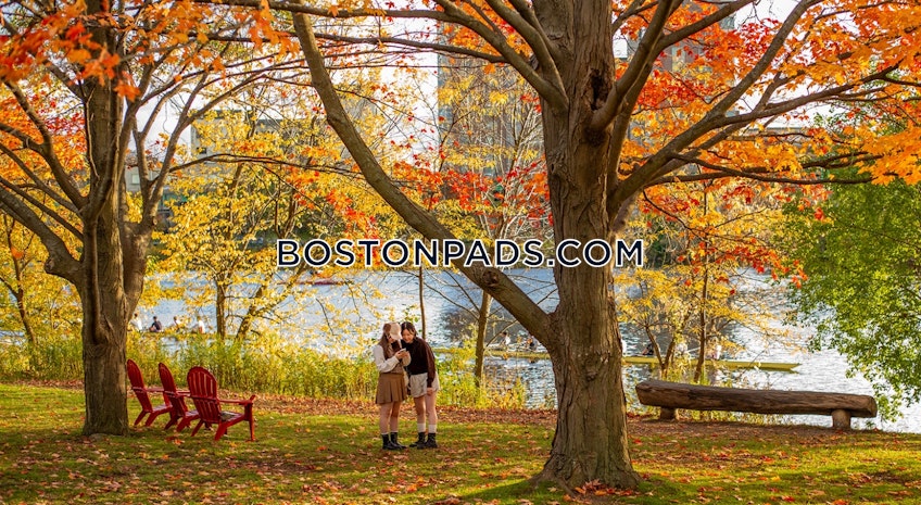 Cambridge - $4,600+ /month