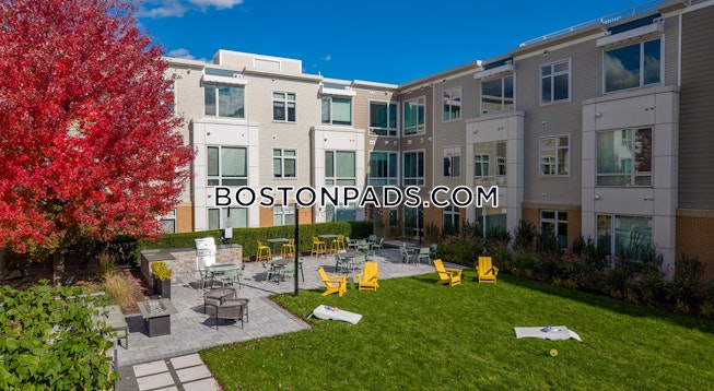 Cambridge - $3,800+ /mo