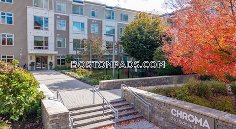 Sidney St. Cambridge photo 15